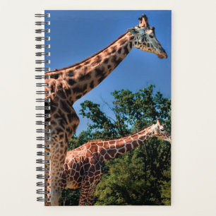 Giraffes Planner