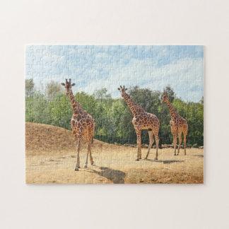Giraffes Puzzle