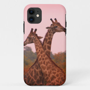 Giraffes standing in mopani trees with pink sky Case-Mate iPhone case