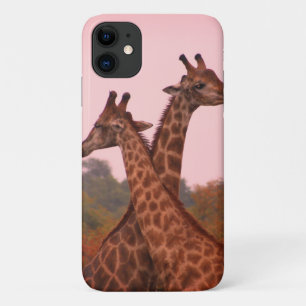 Giraffes standing in mopani trees with pink sky Case-Mate iPhone case