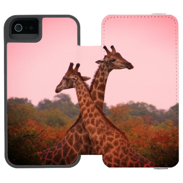 Giraffes standing in mopani trees with pink sky incipio iPhone wallet case (Folio Open)