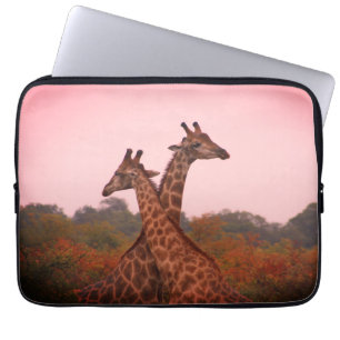Giraffes standing in mopani trees with pink sky laptop sleeve