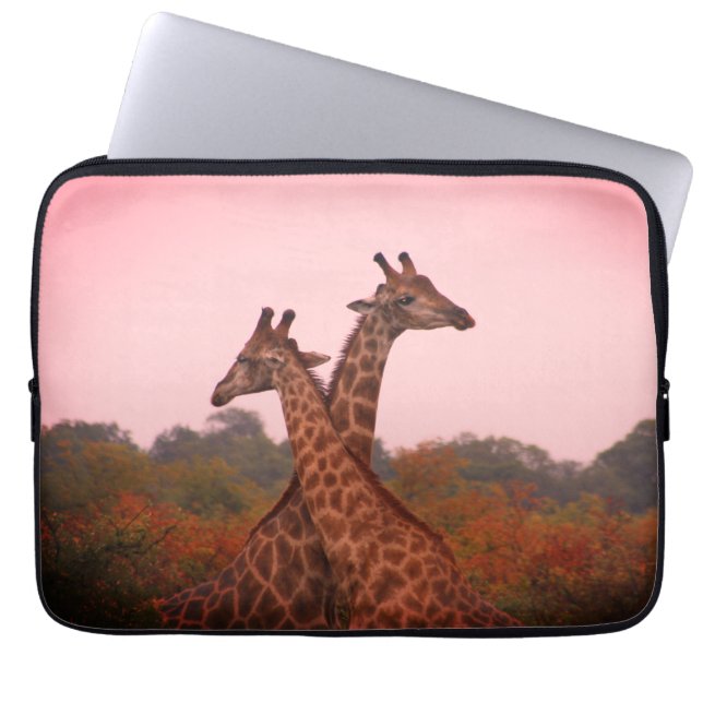 Giraffes standing in mopani trees with pink sky laptop sleeve (Front)