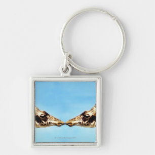 Giraffes touching noses key ring