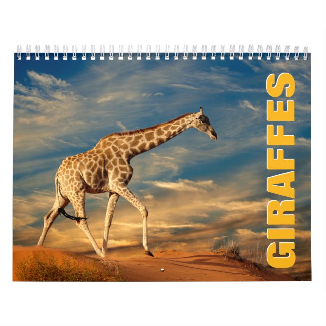 Giraffes Wall Calendar (Cover)