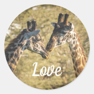 Giraffs in Love Sticker