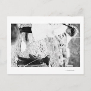 Girl Feeding Bear Cub in Seward Postcard