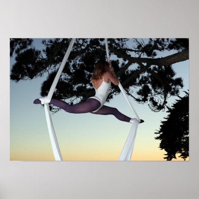 Girl in Tree Suspended with Aerial Silks Poster (Front)