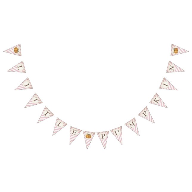 Girl Little Pumpkin Bunting Birthday Decoration (All)