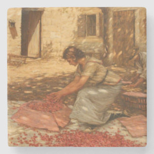 Girl Packing Cherries in Provence (France) Stone Coaster