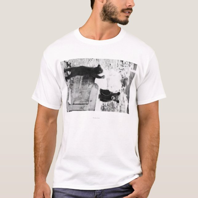 Girl Playing with Bear Cub in Seward T-Shirt (Front)