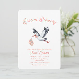 Girl Special Delivery Vintage Stork Baby Shower   Invitation
