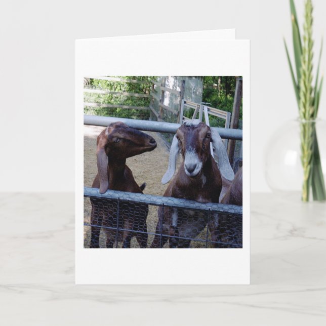 Girl Talk Card (Front)