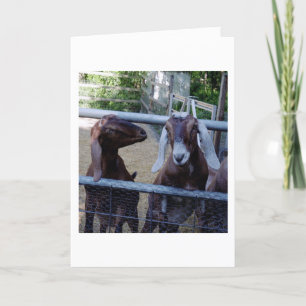 Girl Talk Card