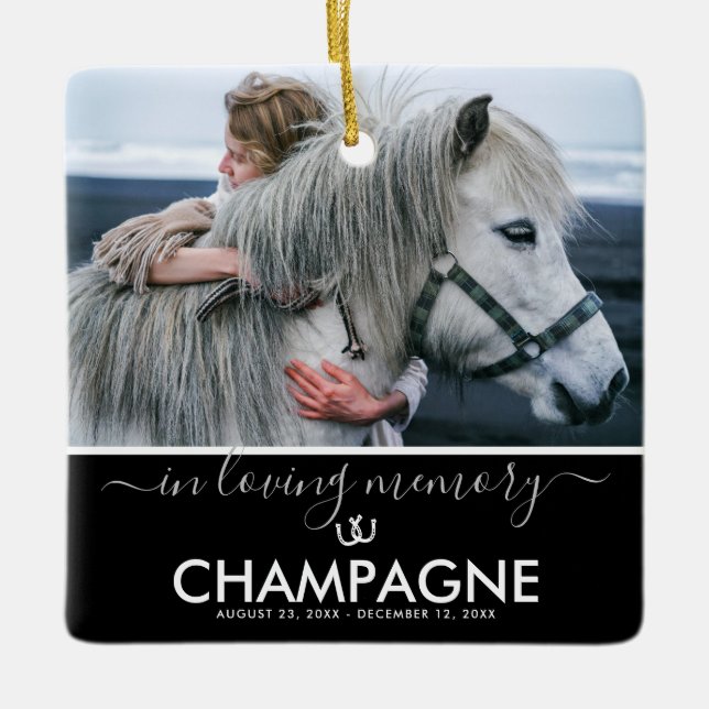 Girls Best Friend Horse Memorial Keepsake Ceramic Ornament (Front)