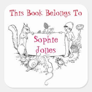 Girls Bookplate. This Book Belongs To Name Label