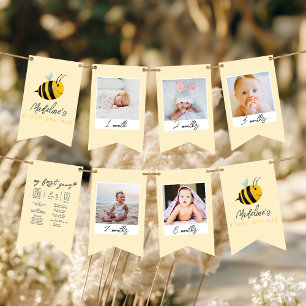 Girls Cute 1st Bee Day Birthday Milestone Photo  Bunting