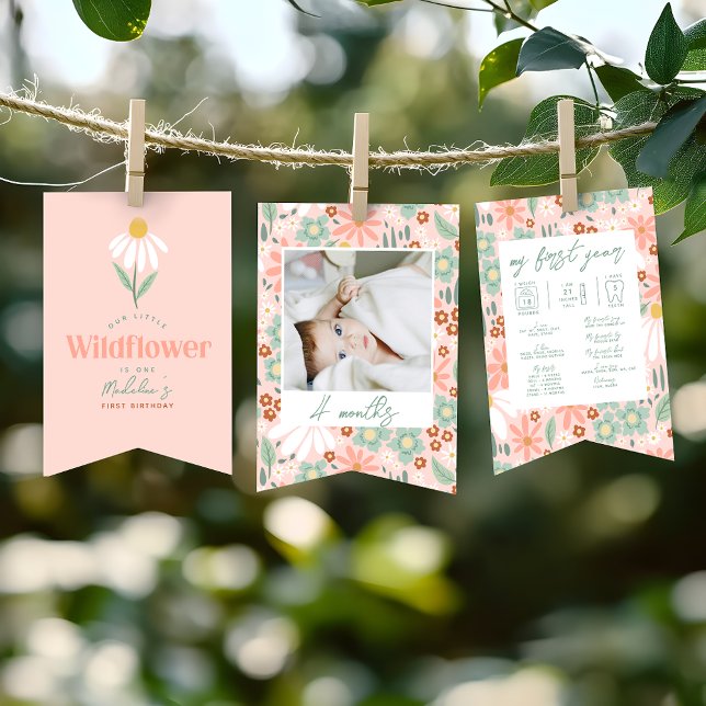 Girls Cute Daisy 1st Birthday Milestone Photo  Bunting (Creator Uploaded)