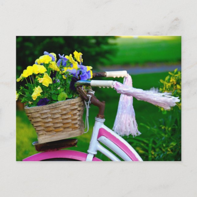 Girls Just Wanna Have Fun, Pink Girls Bicycle Postcard (Front)