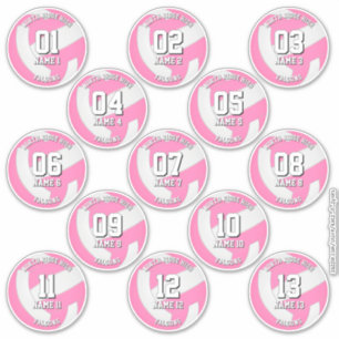 girls pink volleyball team stickers 13 athletes