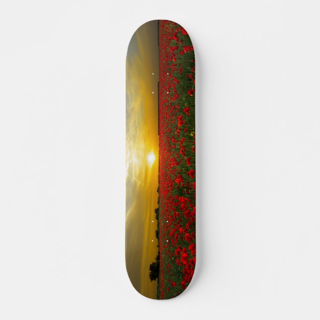 Girls skateboard Sunset on Poppy Field (Front)