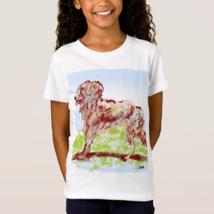 Girls T-shirt  : Irish Setter
