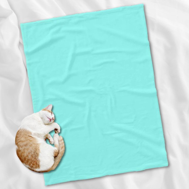 Girly chic turquoise aqua Robins Egg Blue Fleece Blanket (Girly chic turquoise aqua Robins Egg Blue Fleece Blanket)
