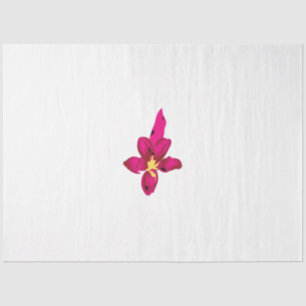 Girly Design, Light Gold, Purplish Red Tissue Paper