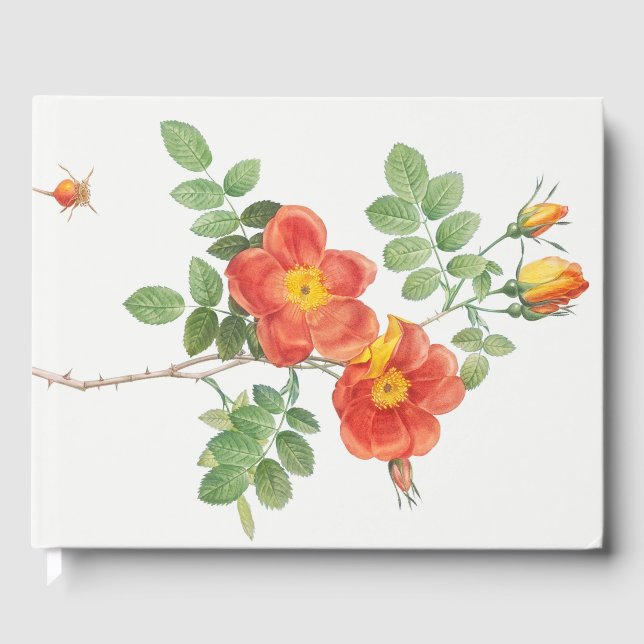 Girly Orange Rose Floral Botanical Guest Book (Front)