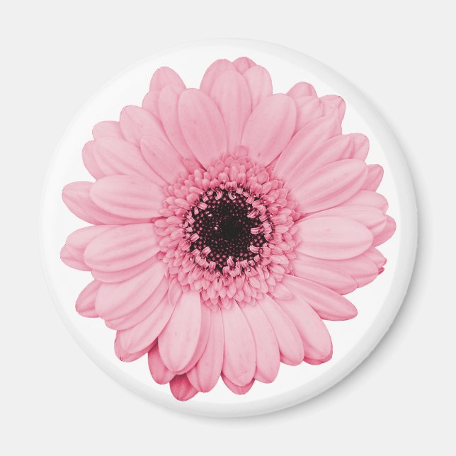 Girly pink magnet w/ beautiful gerbera flower (Front)