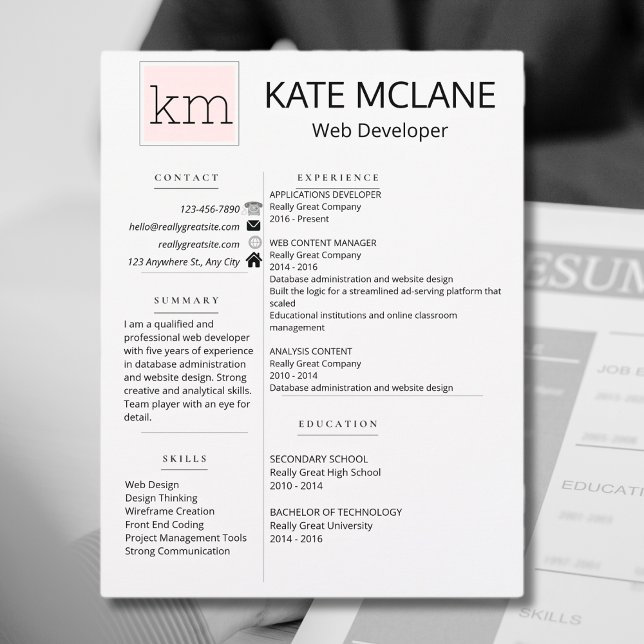 Girly Pink Social Icons Resume Template Custom Letterhead (Creator Uploaded)