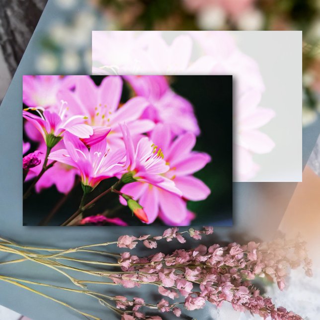 Girly Pink Spring Flowers Nature Card (Creator Uploaded)