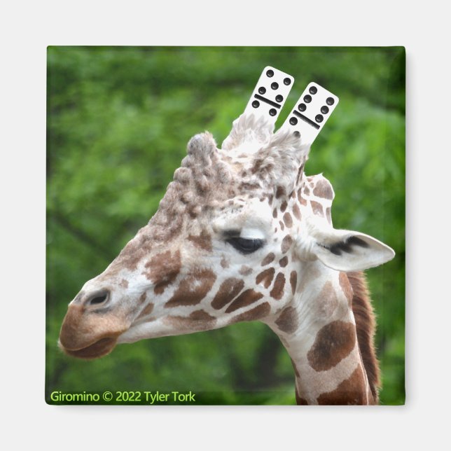 Giromino magnet (Front)