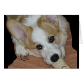 Give A Dog A Bone~Corgi Puppy Card
