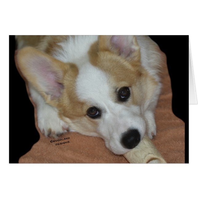 Give A Dog A Bone~Corgi Puppy Card (Front Horizontal)