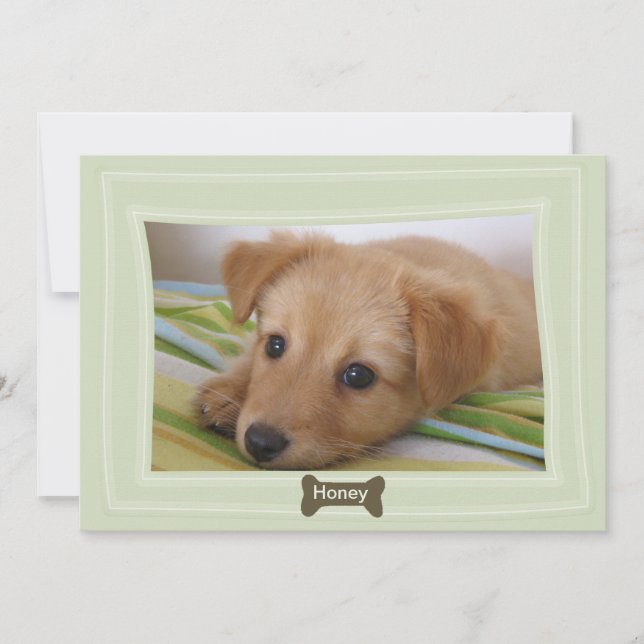 Give a Dog a Bone Photo Pet Announcement (Front)