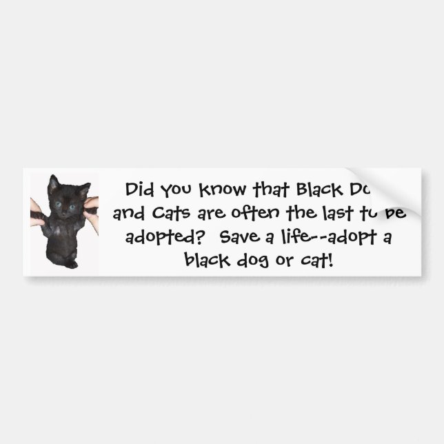 Give Black Pets a Chance! Bumper Sticker (Front)