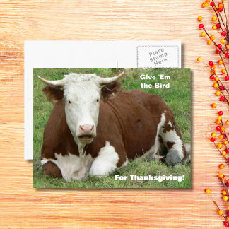Give 'Em the Bird For Thanksgiving Holiday Postcard