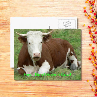 Give 'Em the Bird For Thanksgiving! Holiday Postcard