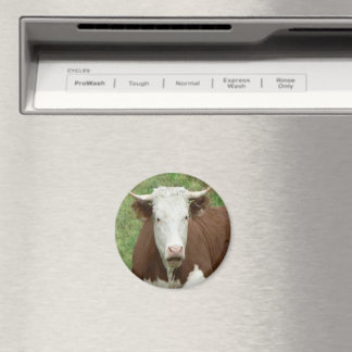 Give 'Em the Bird For Thanksgiving Magnet