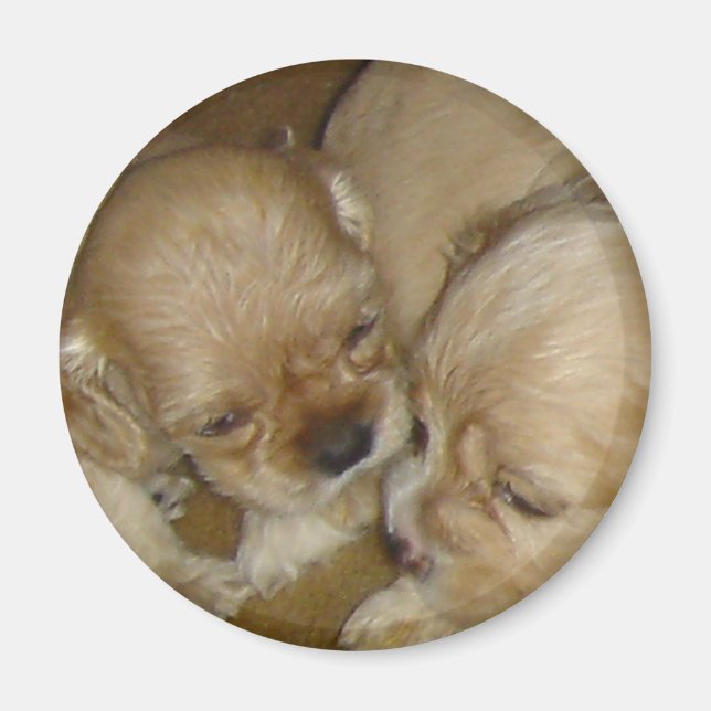 Give me a kiss magnet (Front)