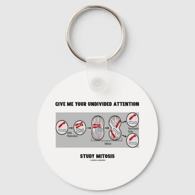 Give Me Your Undivided Attention Study Mitosis Key Ring (Front)