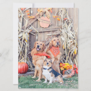 Give Thanks Cute Dogs and Thanksgiving Harvest Card