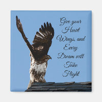 Give Your Heart Wings Inspirational Hawk Photo