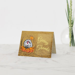 Giving Thanks Folded Invitation