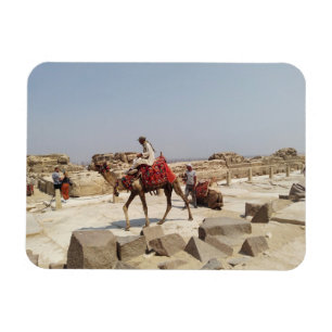 Giza plateau near the pyramids postcard magnet