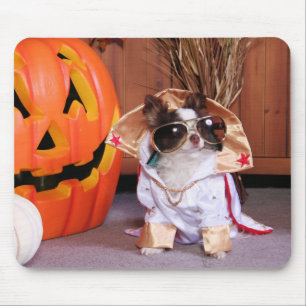Gizmo - Chihuahua - Thomas Mouse Pad