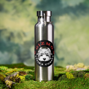 Gizmo Kevin's Corner Pet Maltipoo Puppy Water Bottle