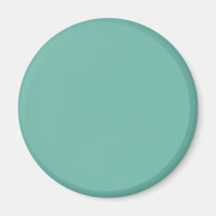 Glacial Green 6FB7A8 Colour - Option to Add Name Magnet
