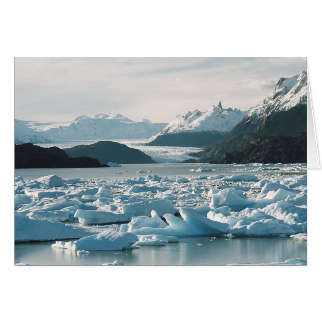 Glacial Icebergs (Front Horizontal)